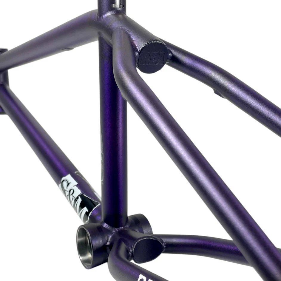 S&M REA Frame - Image 5