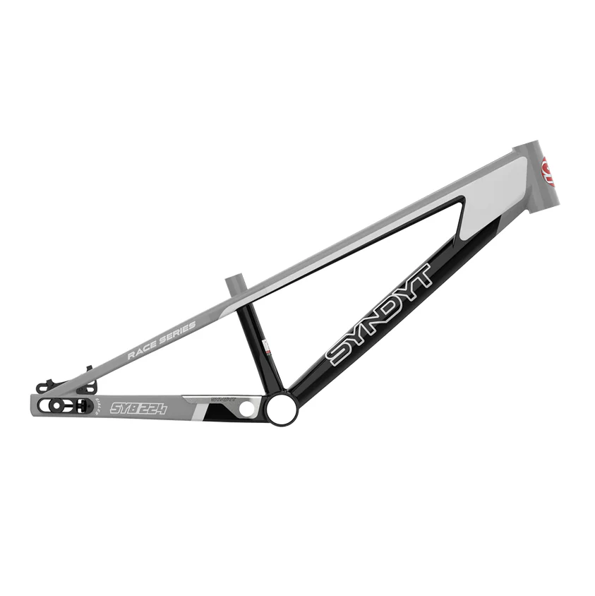 SYB 224: 22” TT Pro 24 3XL BMX Frame - Image 2